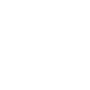 Security Icon