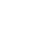 Network Securitye Icon